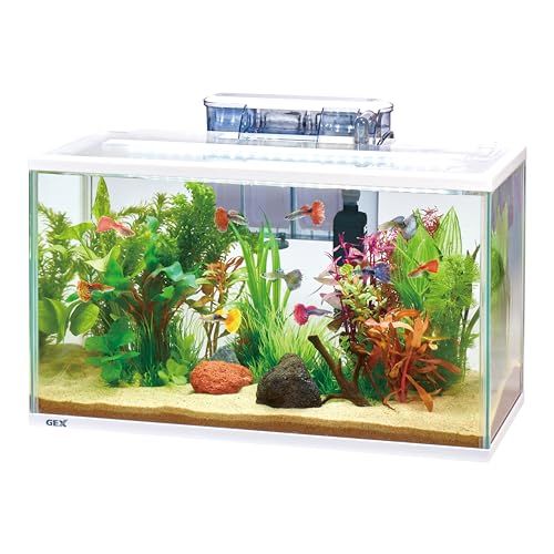 ジェックス スリムアクアセット500 po d 6 c 8 3 fc