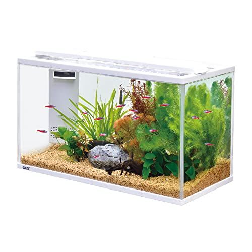 ジェックス GEX サイレントフィット アルファ 500 静音 省電力フィルター付po 445 f 37 df