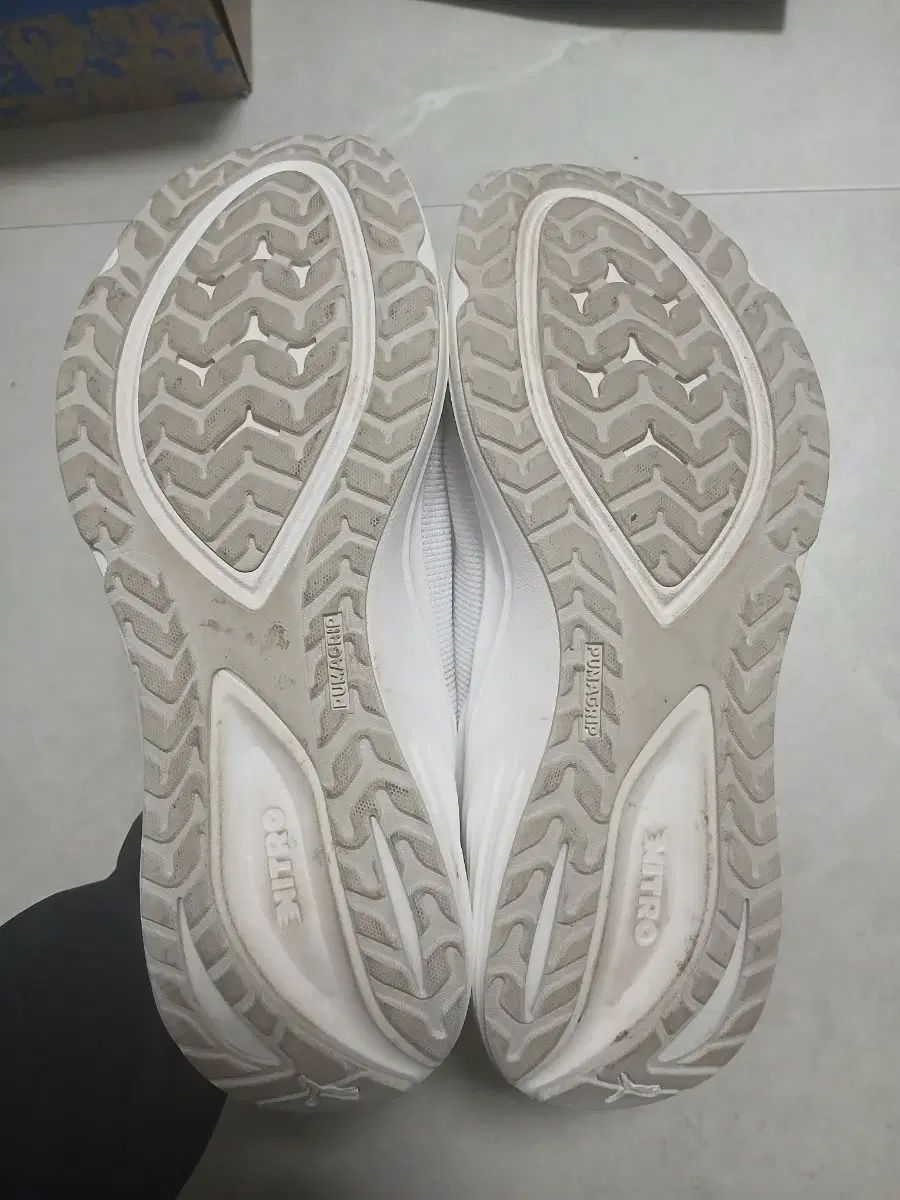 プーマ エレクトリファイ ニトロ 4 270