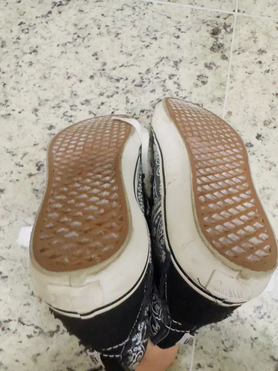 ハイ リイシュー