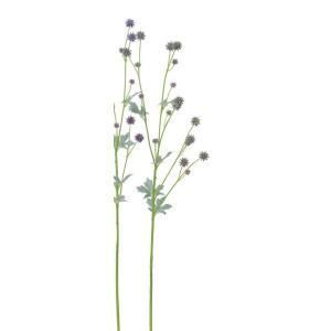 ASCA アスカ ルリタマアザミX 18 A 33568 063 入数 12