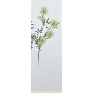 ASCA アスカ アザミx 4 A 33576 051 F 入数 12