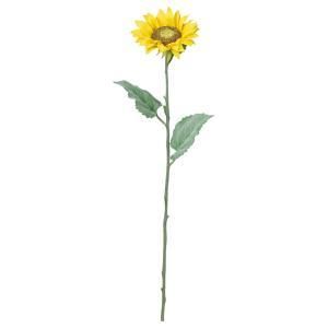 ASCA アスカ サンフラワー A 33606 010 入数 12