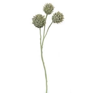 ASCA アスカ アーティチョーク A 33599 063 B 入数 12