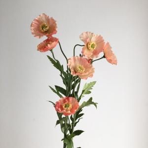 ASCA アスカ ポピーX 7 つぼみX 3 A 33555 030 入数 12