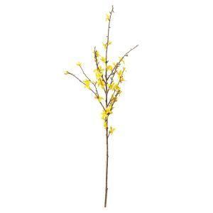 ASCA アスカ レンギョウX 45 A 33544 010 入数 12