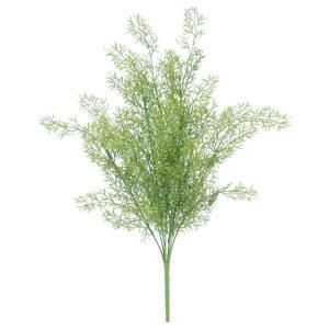 ASCA アスカ スプレンゲリーブッシュ A 42987 051 入数 12