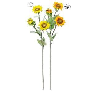 ASCA アスカ サンフラワー A 33361 010 入数 12