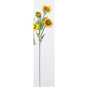 ASCA アスカ サンフラワー A 33361 040 Y 入数 12