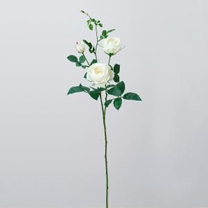 ASCA アスカ キャベッジローズX 2 つぼみX 1 A 33358 011 入数 12