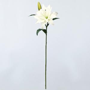 ASCA アスカ カサブランカX 1 つぼみX A 33357 001 入数 12