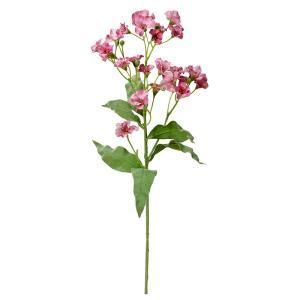 ASCA アスカ ブロッサムスプレーX 25 つぼみX 7 A 33356 055 B 入数 24