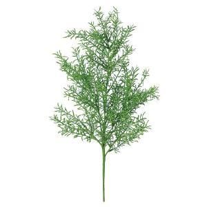 ASCA アスカ アスパラガスファーンブッシュ A 42893 051 入数 12