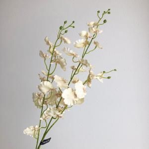 ASCA アスカ オンシジュームX 32 つぼみX 13 A 33329 027 入数 12