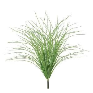 ASCA アスカ グラスブッシュ A 42970 051 入数 12