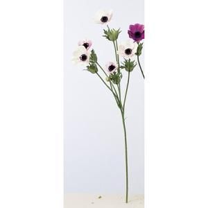 ASCA アスカ アネモネX 5 つぼみX 2 A 33253 003 C 入数 12