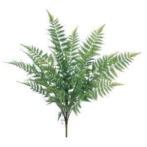 ASCA アスカ ファーンブッシュ A 42833 051 入数 6