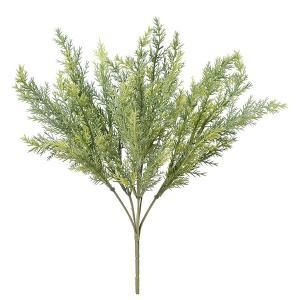 ASCA アスカ サイプレスブッシュ A 42845 053 入数 12