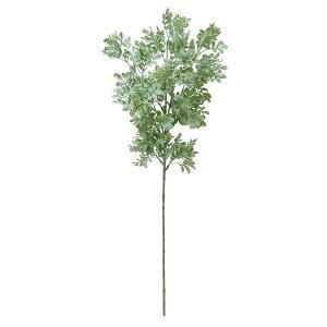 ASCA アスカ ボックスウッド A 42846 051 F 入数 12