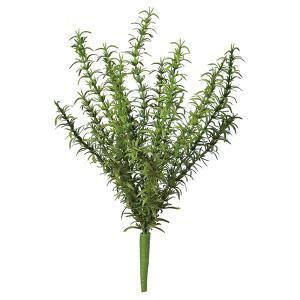 ASCA アスカ ローズマリーブッシュ A 42823 051 入数 12