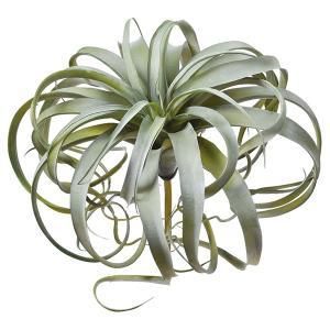 ASCA アスカ キセログラフィカ A 42748 063 G 入数 2