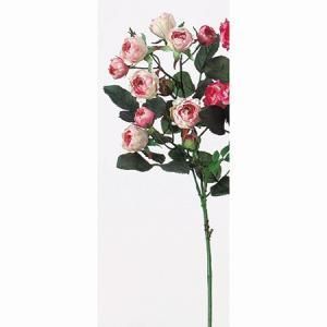 ASCA アスカ ミニローズX 11 A 36035 003 G 入数 24