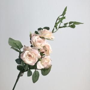 ASCA アスカ ローズピックX 7 A 36112 004 入数 24