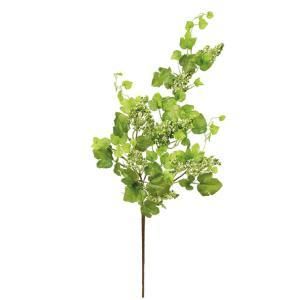 ASCA アスカ ベリースプレー A 05930 051 入数 8