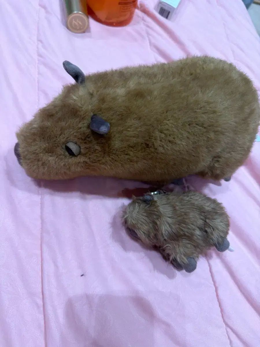 JELLYCAT カピ ぬいぐるみ キーホルダー セット