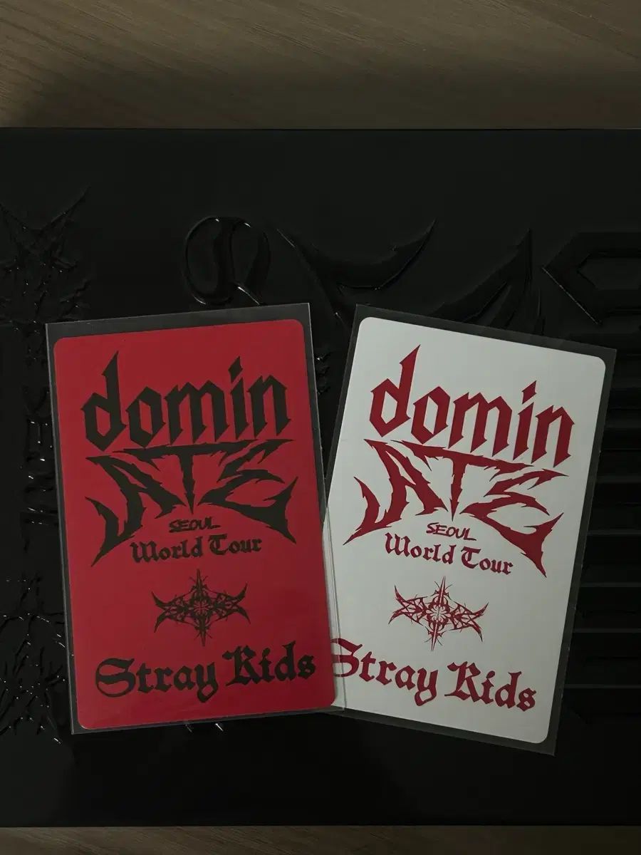 Stray Kids リノ トレカ DVD コンサート ALADIN 初回限定特典 SKZOO