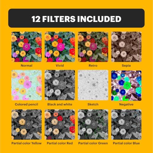 KODAK Pixpro C 1 ? 超コンパクトデジタルカメラ 13 MP BSI CMOS 4倍ズーム 2 8インチLCDスクリーン LEDフラッシュ Marronpo 039 e 6 食器セット その他 