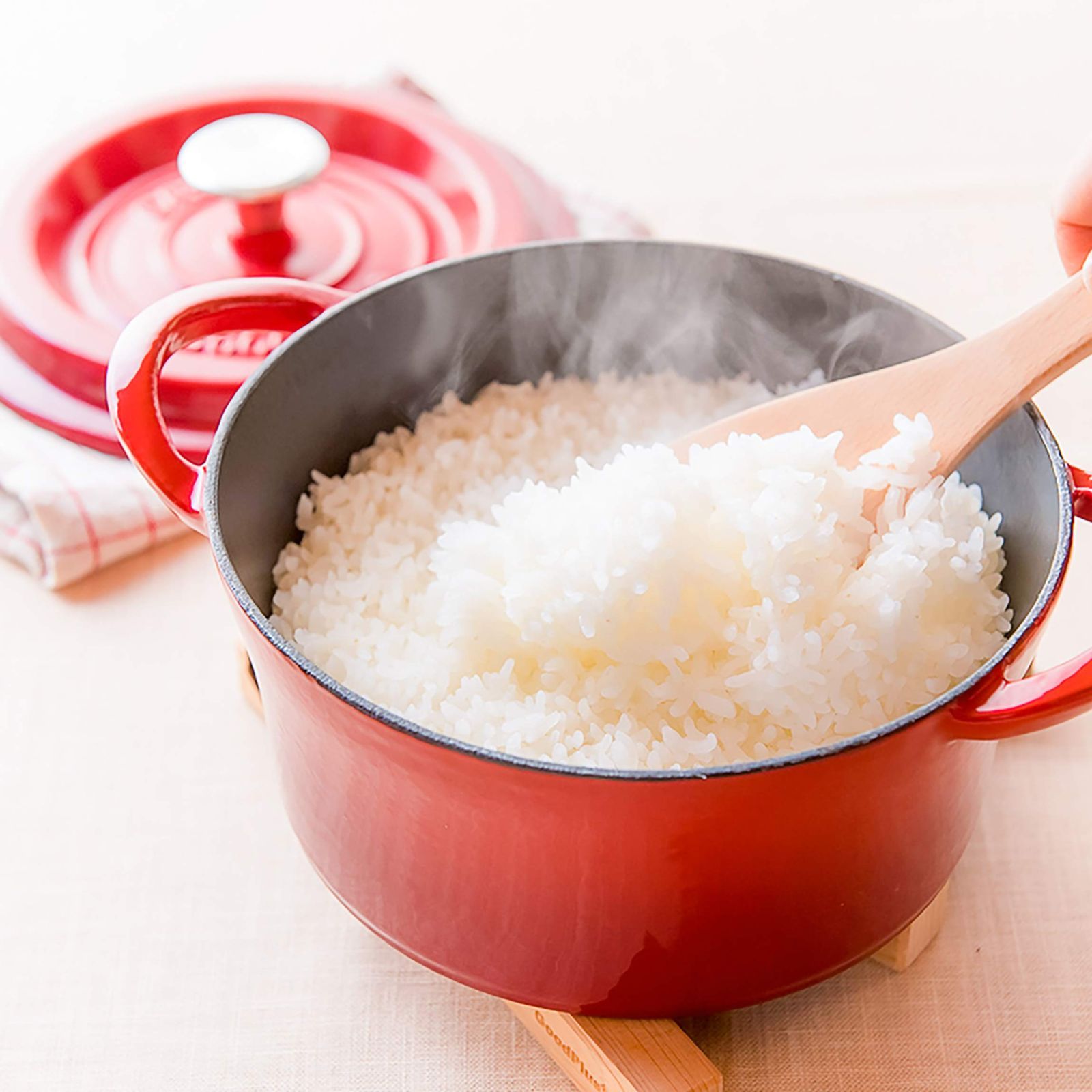 GoodPlus キャストポット 18 cm レッド 鋳物ホーロー鍋 無水調理 グッドプラス 蒸気循環 外面ホーロー加工 内面特殊マットホーロー加工 ステンレスつまみ レシピブック付き IHオール熱源対応 フライパン 鍋 グリル 調理器具