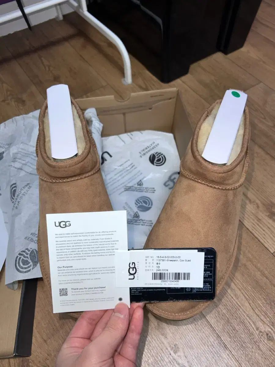 ミニ チェスナット