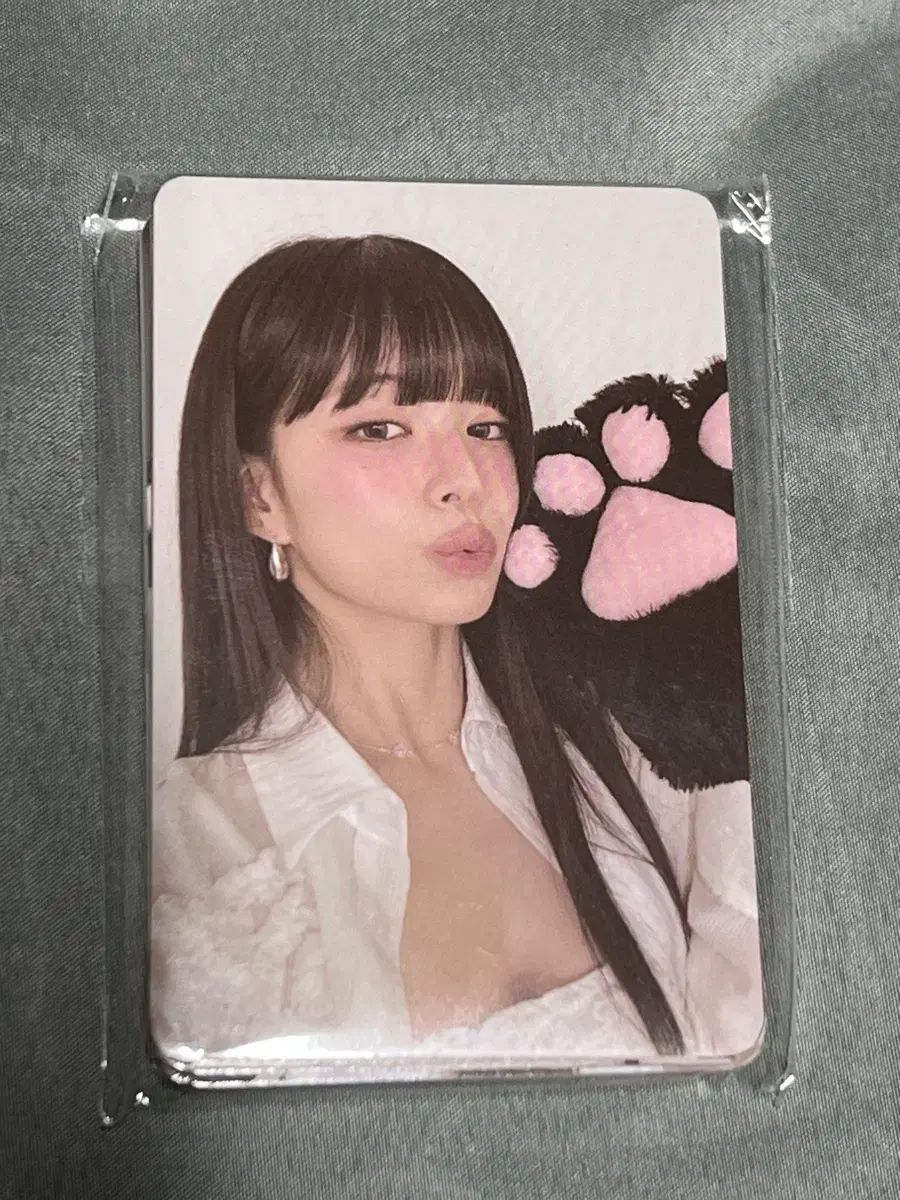 fromis_9 プロミスナイン プミナ コンサート From 구독 トレカ セット フォトカード