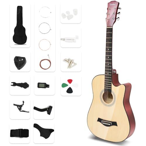 アコースティックギター 17点セット 初心者入門セット 練習ギター ソフトケース付き アコギ guitar LGJT YM 2405 Apo