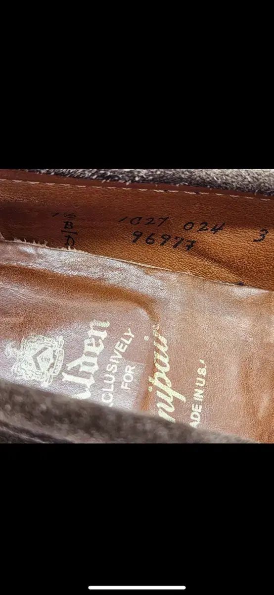 9697 スウェード