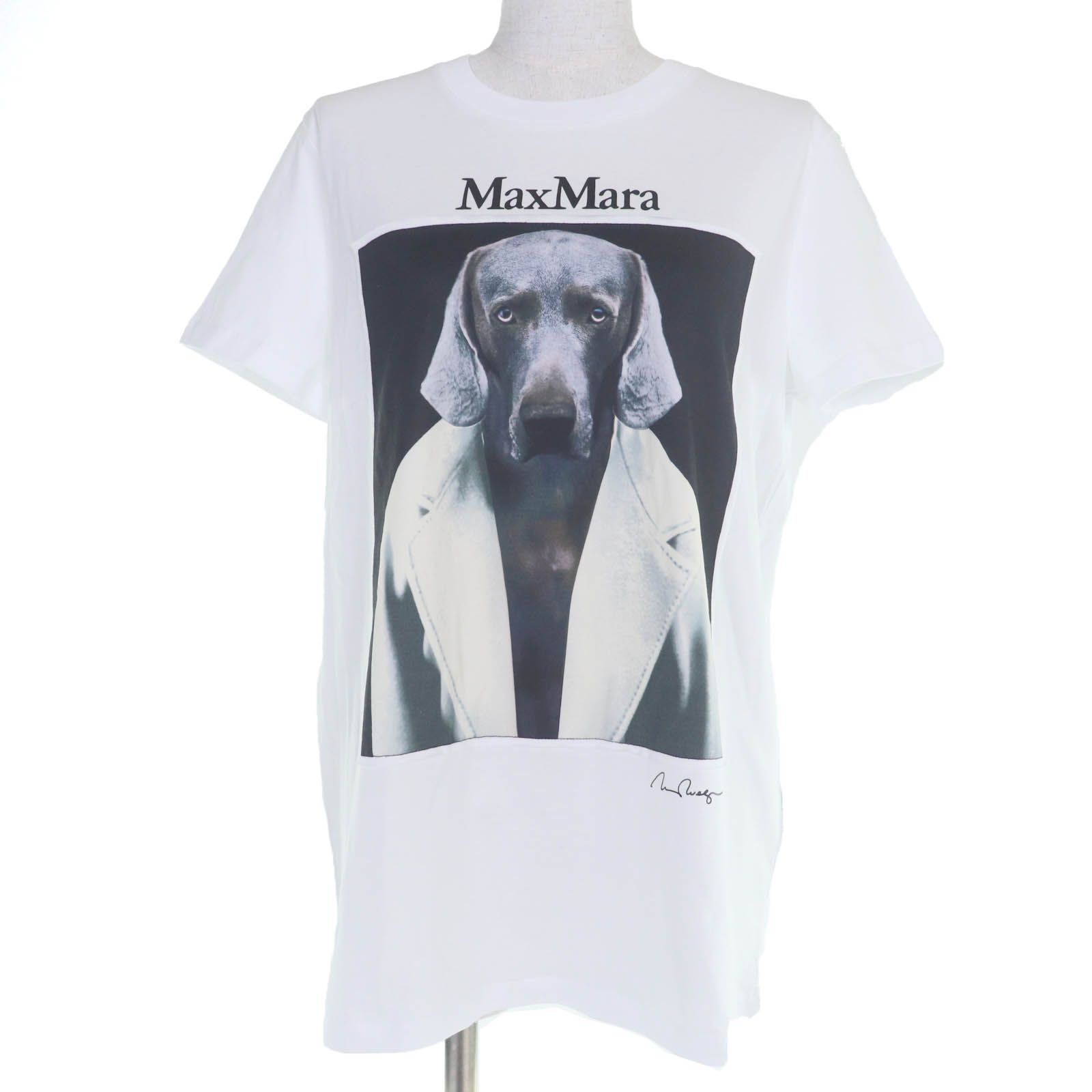 Max Mara マックスマーラ CIPRIA チプリア コットン100％ ワイマラナー カットソー 半袖Ｔシャツ ホワイト L き レディース