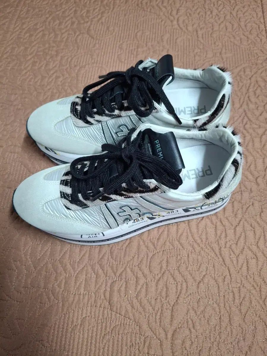 37 240 厚底 スニーカー 2204