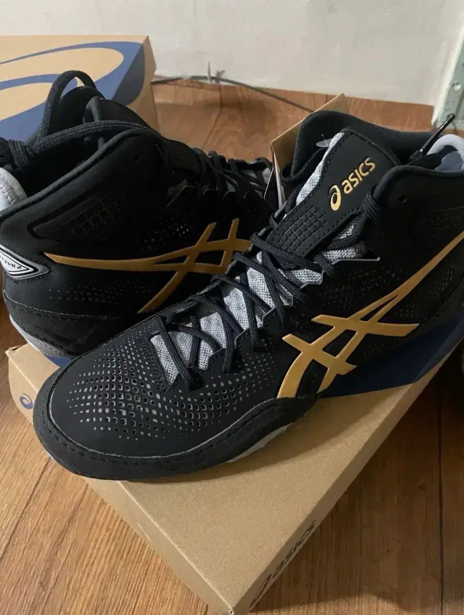 レ슬リングシューズ タグ付き asics dan gable evo 2 250