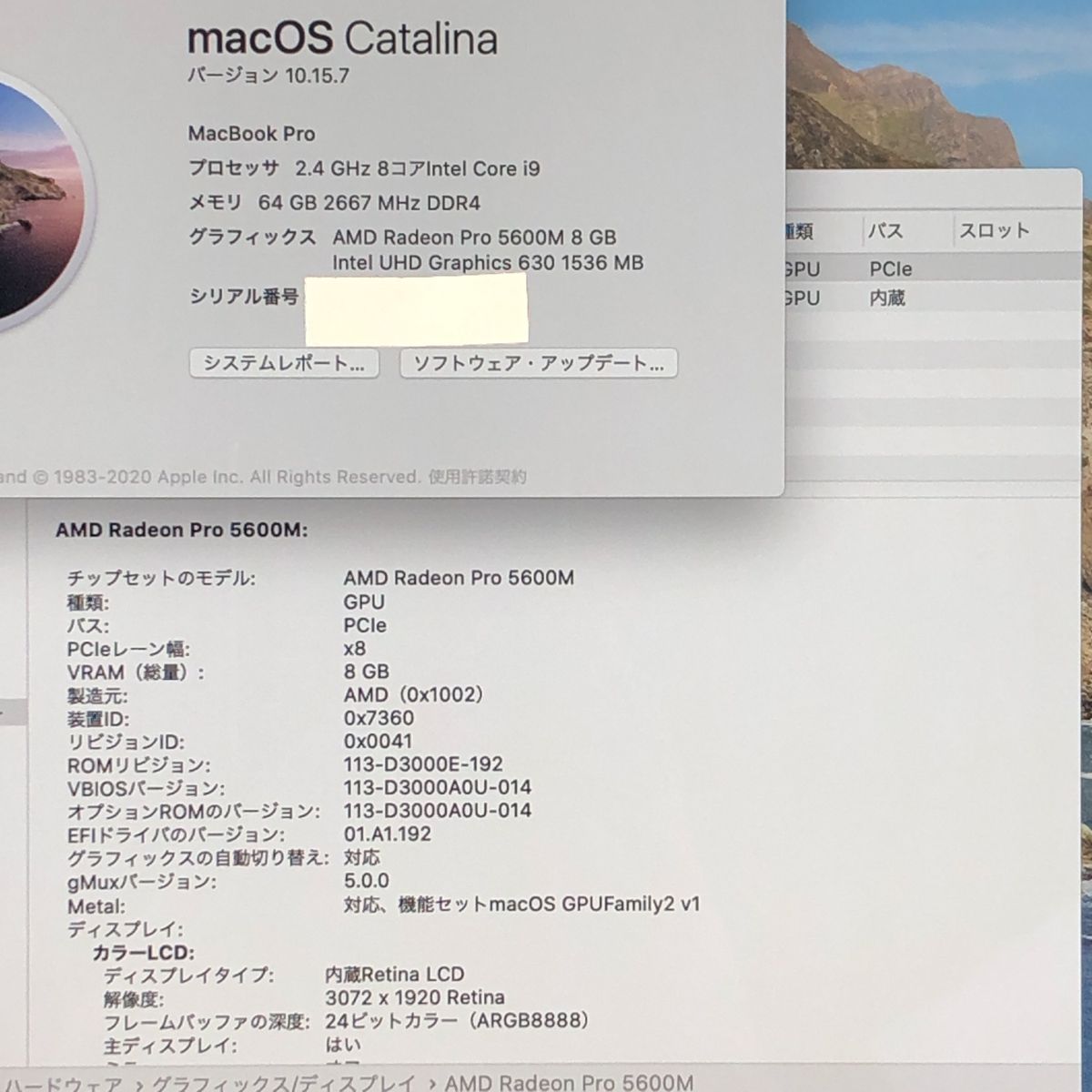 本体のみ Apple MacBook Pro 16インチ 2019 Touch Bar Radeon 5600 M i 9 64 GB 2 TB A 2141 EMC 3347 MB 260021 379374