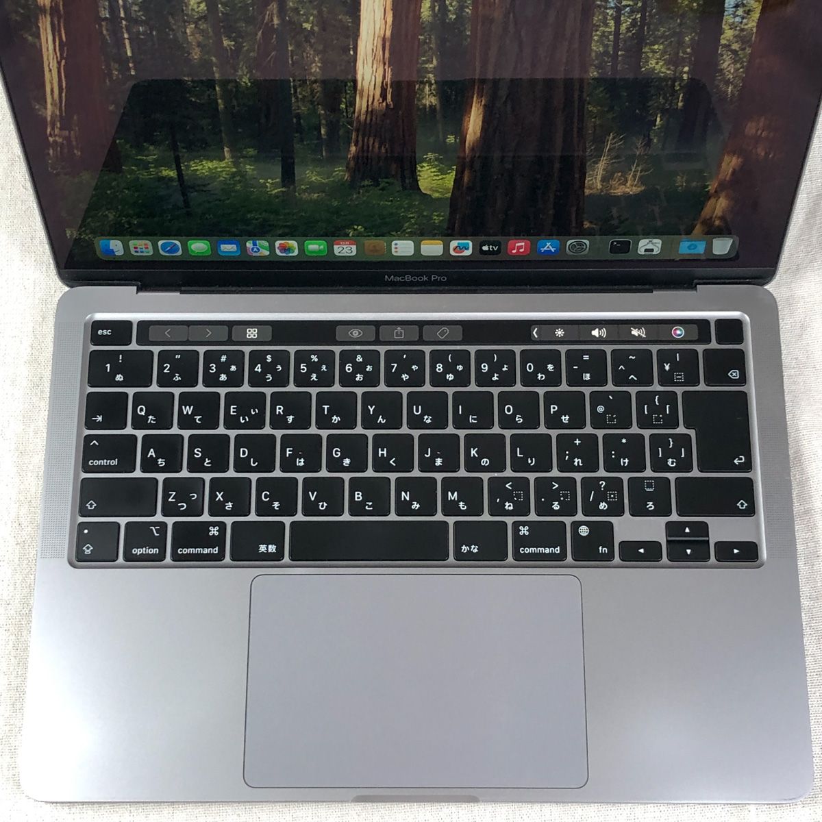 本体のみ】Apple MacBook Pro (13インチ M1 2020)【M1チップ・メモリ