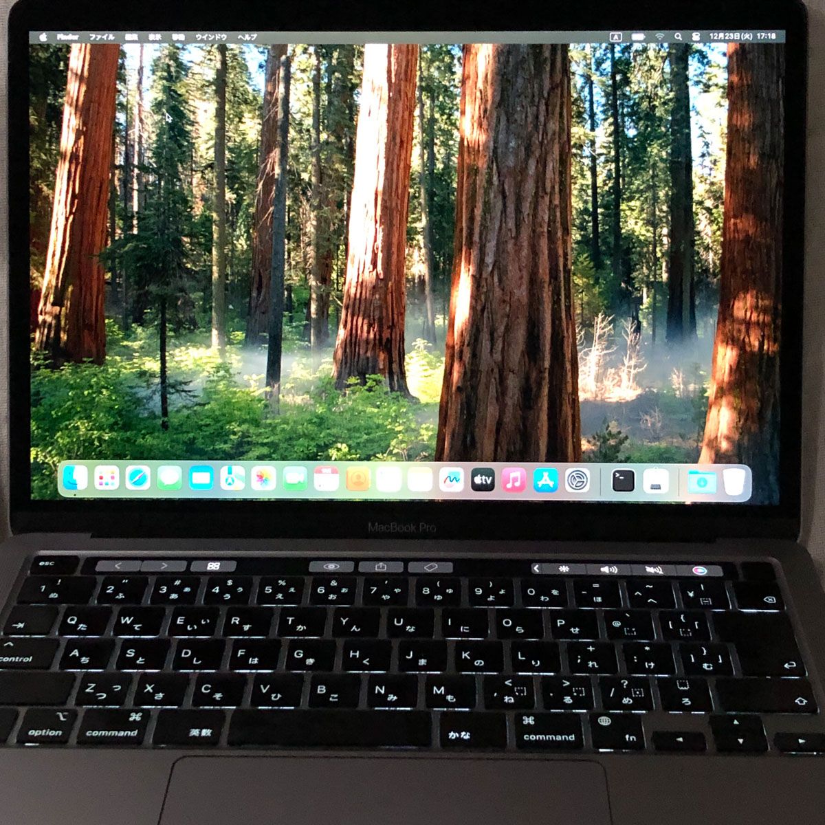 M1チップ Macbook Pro 2020 メモリ16gb SSD256gb MacBook Pro 13インチ Apple M1チップ搭載モデル[2020年モデル/SSD