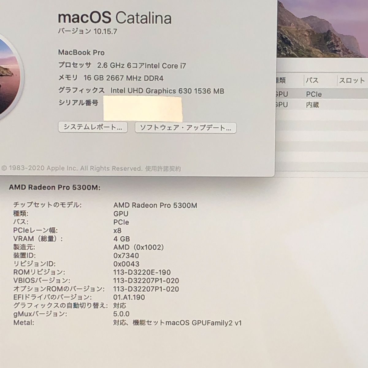 品 本体のみ Apple MacBook Pro 16インチ 2019 Radeon 5300 M i 7 16 GB 512 画面表示色異常 他 A 2141 EMC 3347 MB JUNK 260022 382605