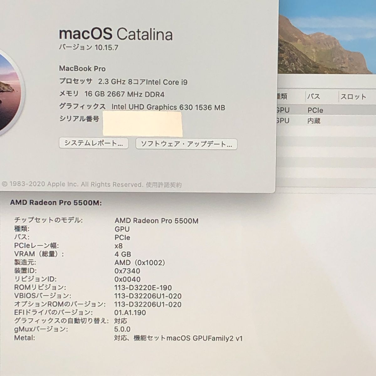 品 本体のみ Apple MacBook Pro 16インチ 2019 Radeon 5500 M i 9 16 GB 1 TB 画面表示色異常 A 2141 EMC 3347 MB JUNK 260023 379378