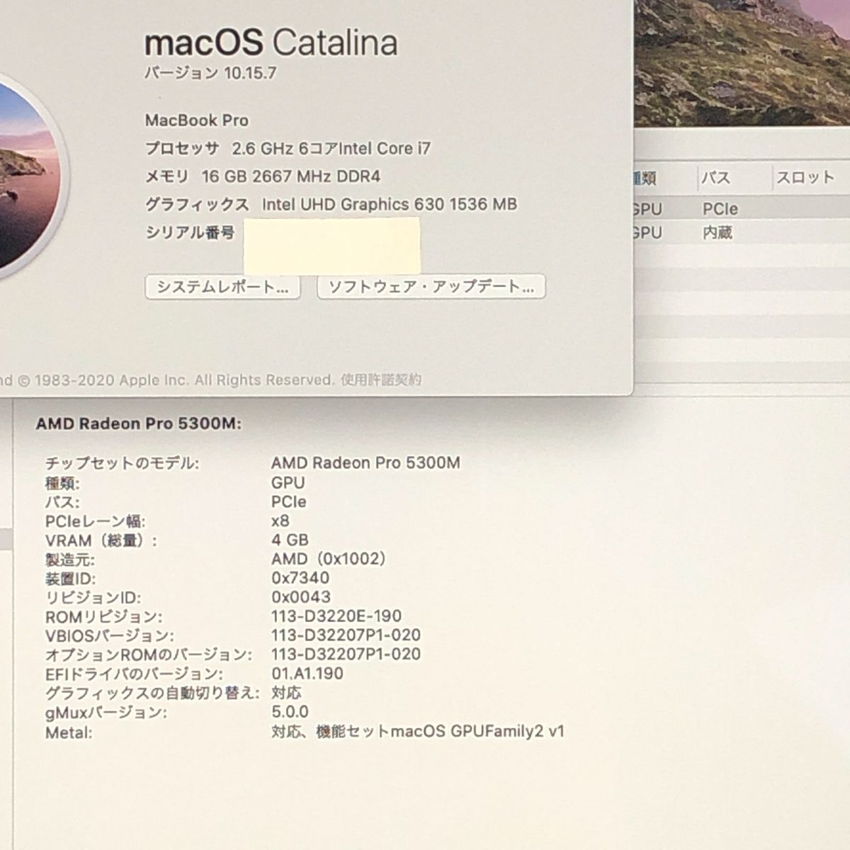品 本体のみ Apple MacBook Pro 16インチ 2019 Radeon 5300 M i 7 16 GB 512 トラックパッド不良 他 A 2141 EMC 3347 MB JUNK 260024 382607