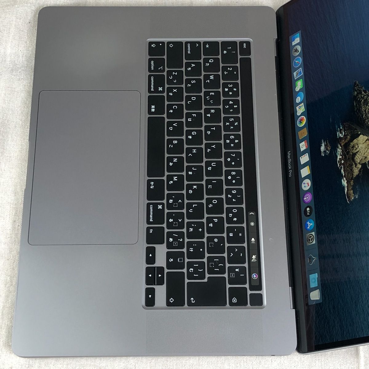 ◇ジャンク品・本体のみ◇Apple MacBook Pro (16インチ 2019)【Radeon