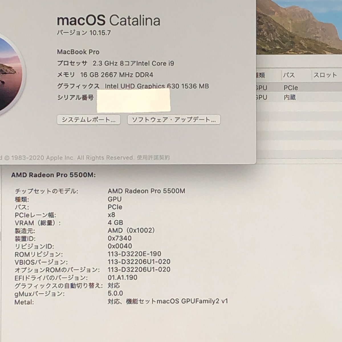 品 本体のみ Apple MacBook Pro 16インチ 2019 Radeon 5500 M i 9 16 GB 1 TB 画面表示色異常 他 A 2141 EMC 3347 MB JUNK 260025 379375