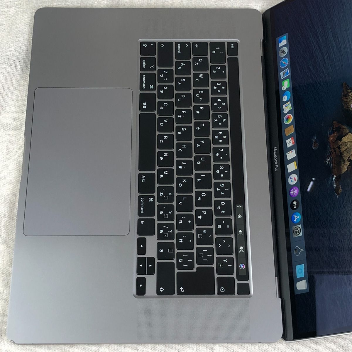 ◇ジャンク品・本体のみ◇Apple MacBook Pro (16インチ 2019)【Radeon