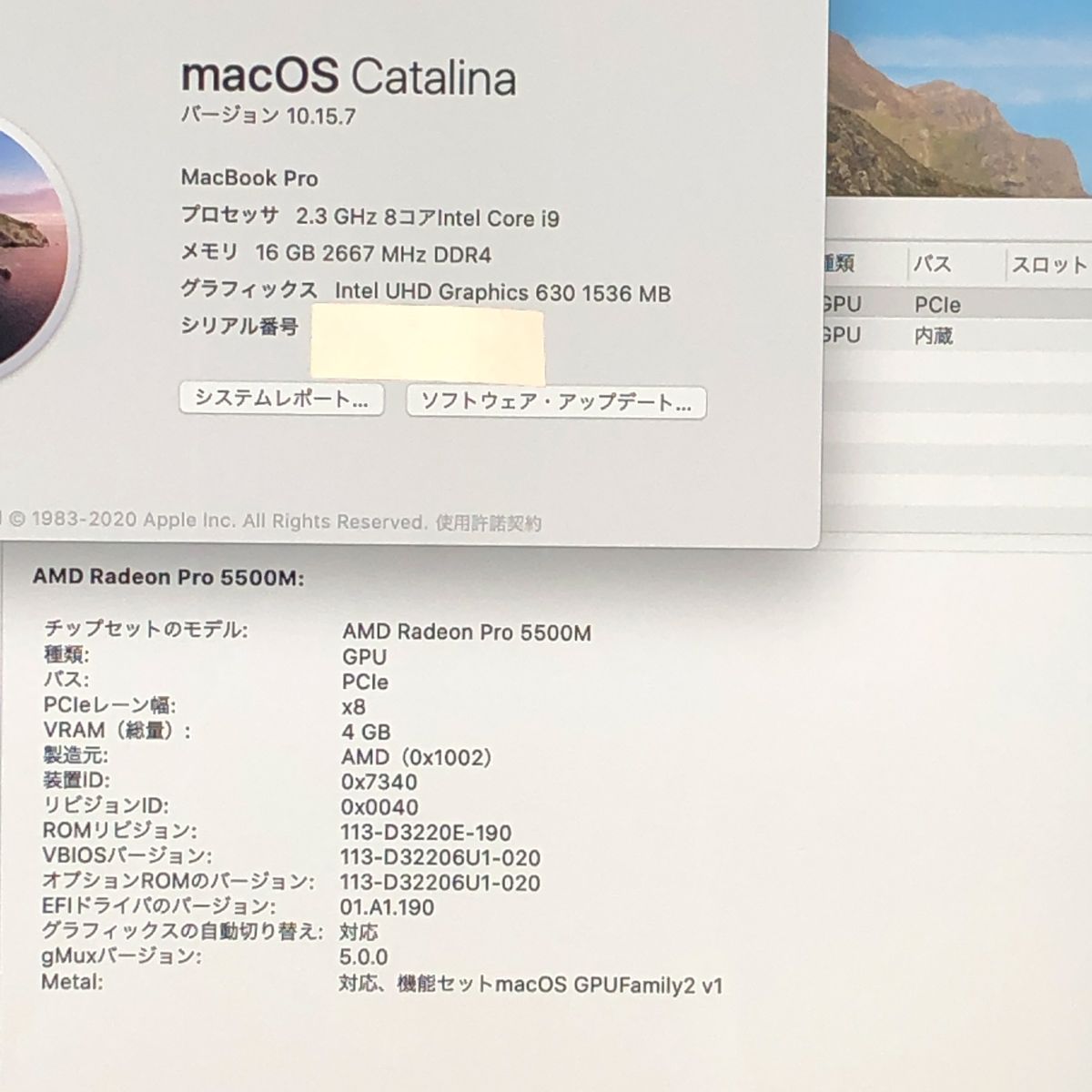 品 本体のみ Apple MacBook Pro 16インチ 2019 Radeon 5500 M i 9 16 GB 1 TB 画面表示色異常 他 A 2141 EMC 3347 MB JUNK 260026 379383