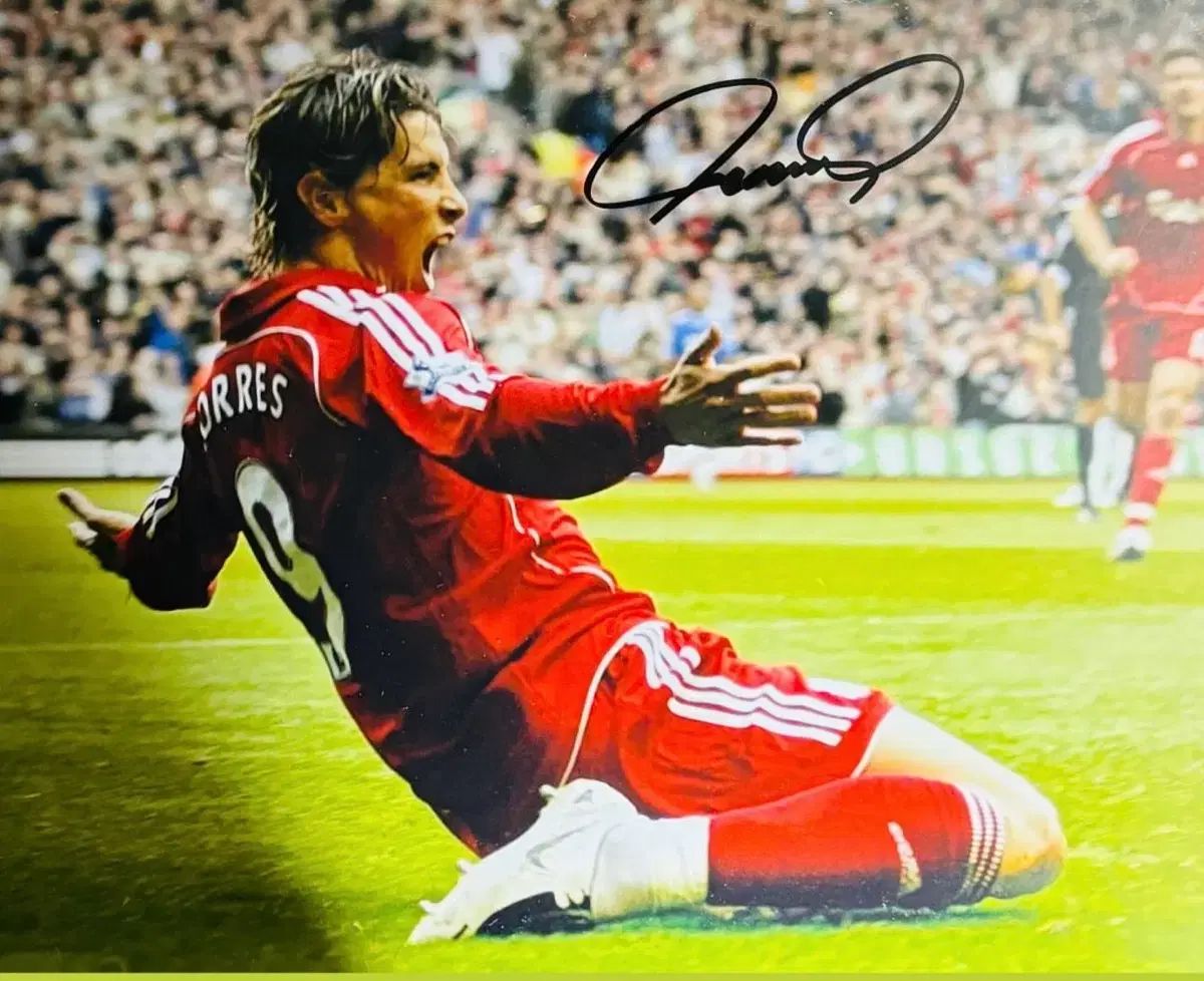 フェルナンド トーレス サイン 額縁